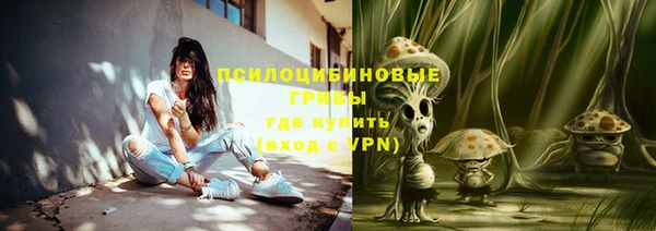 гидра Абинск