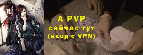 твердый Абаза