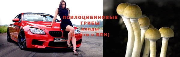 твердый Абаза
