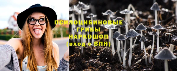 гидра Абинск