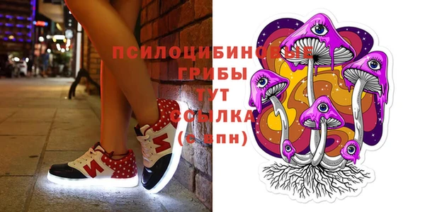 твердый Абаза