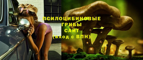 твердый Абаза