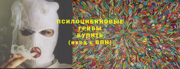 твердый Абаза